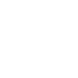 The Kirschner Group, Inc. Icon